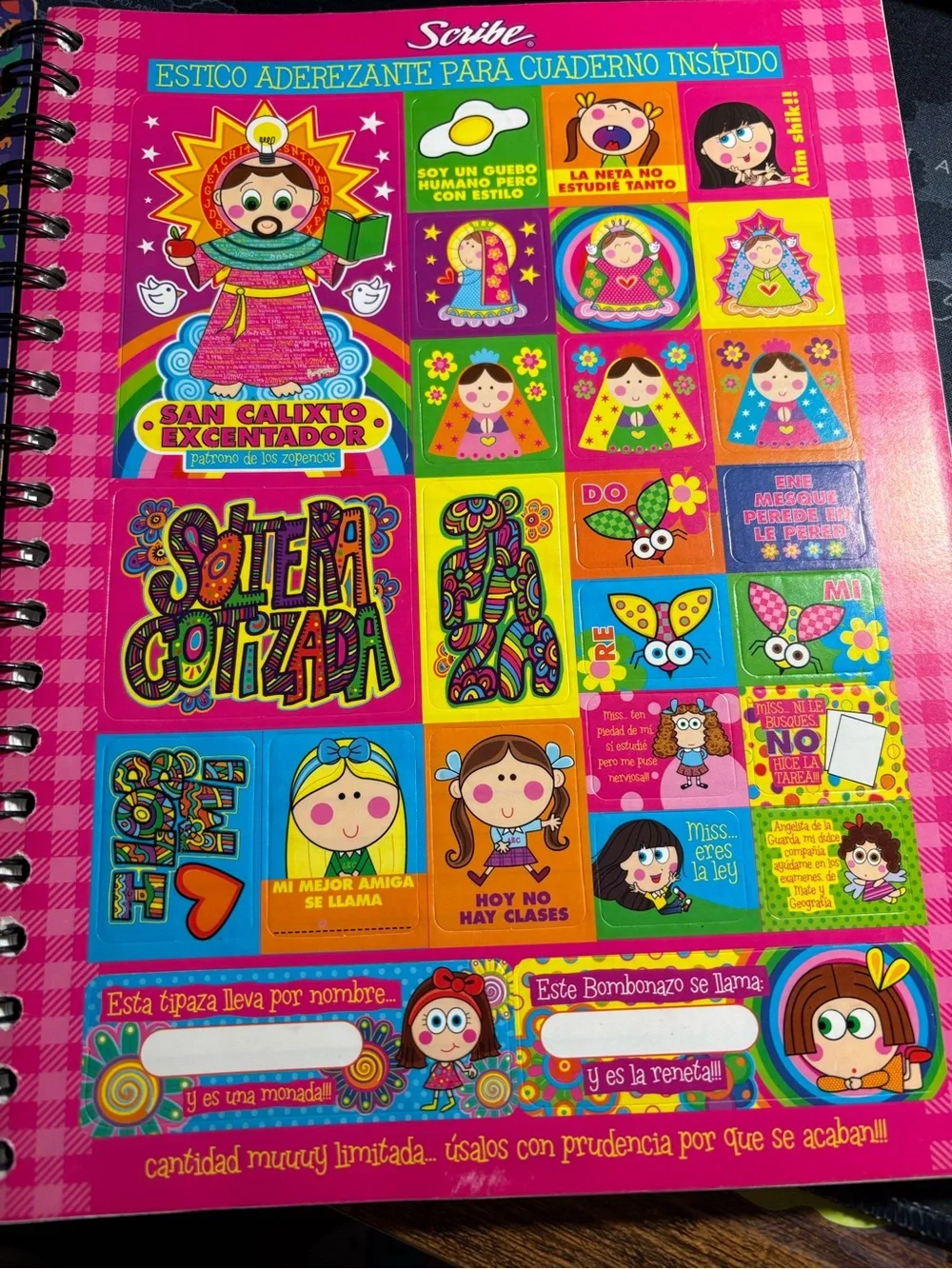 Scribe Notebook San Juditas